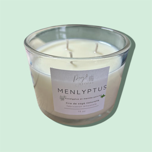 Bougie 13oz Menthe poivrée et Eucalyptus 3 mèches