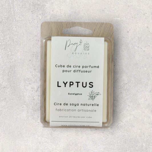 Cube de cire Lyptus (eucalyptus)